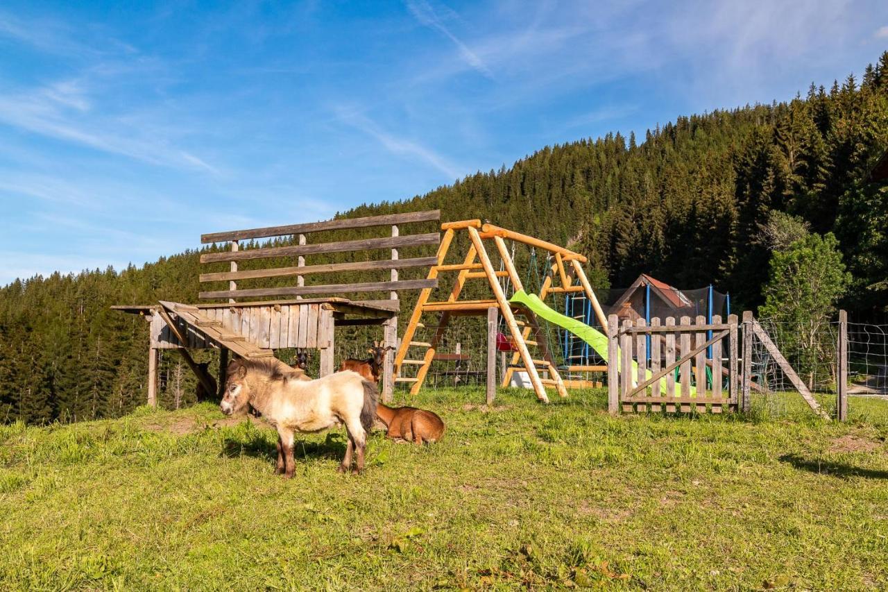 Appartement Bucheggerhof à Schladming Extérieur photo